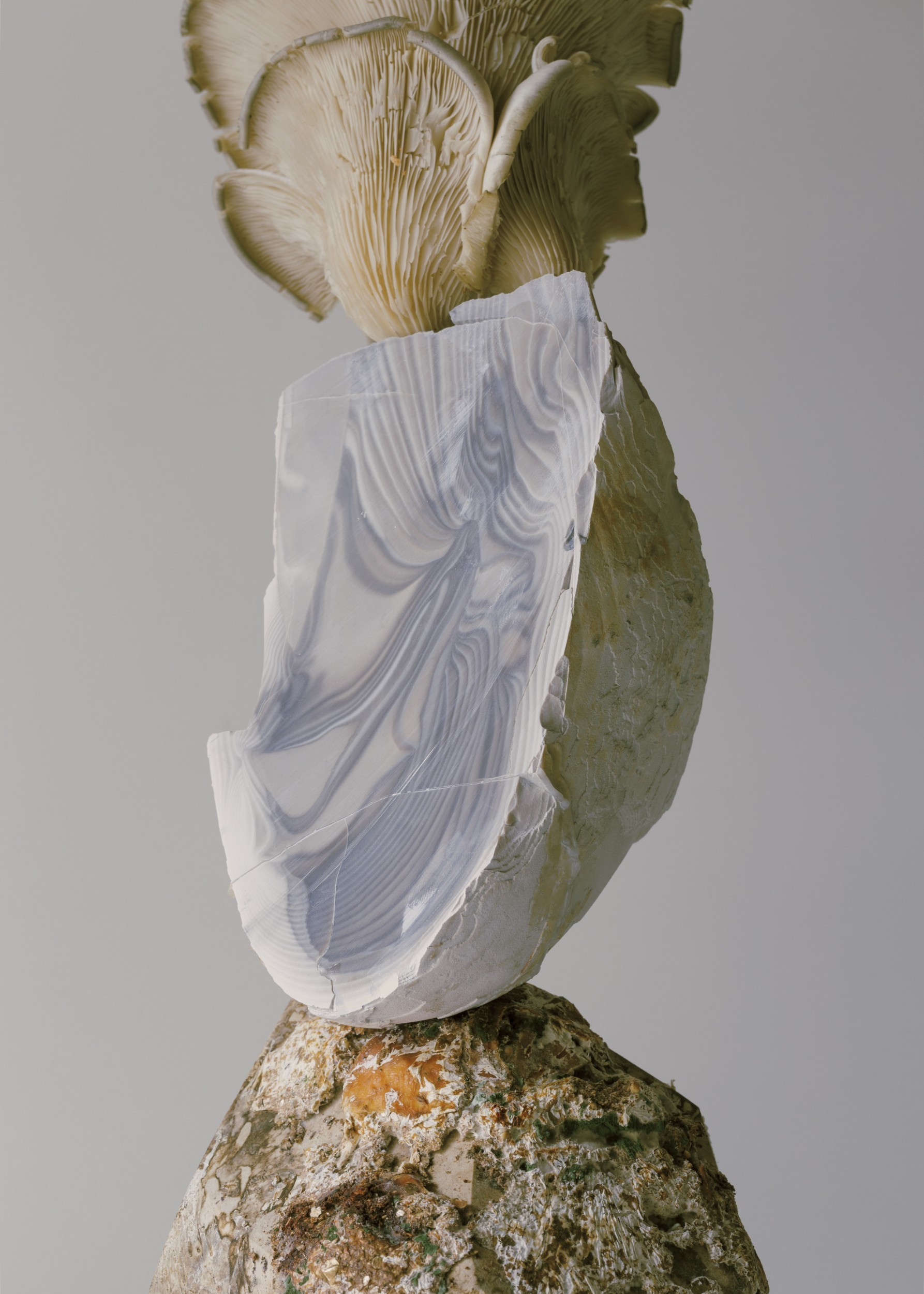 atelier-terre_matieres-2_-nicolo-panzeri.jpg