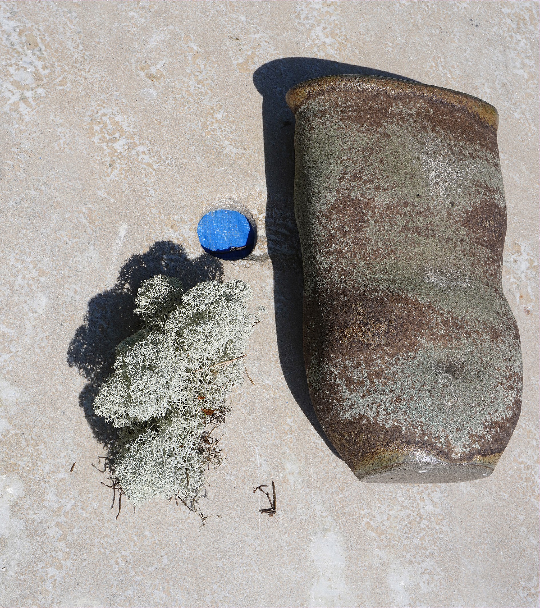 vase-lichen-e-roule-a-lindell-ide-to-sweden-2024-ide-1.jpg