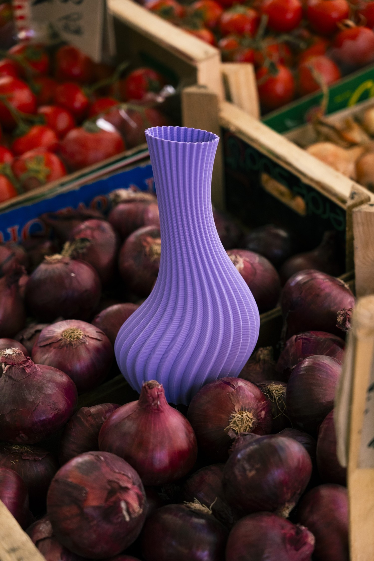 dsc4301-copie.jpg