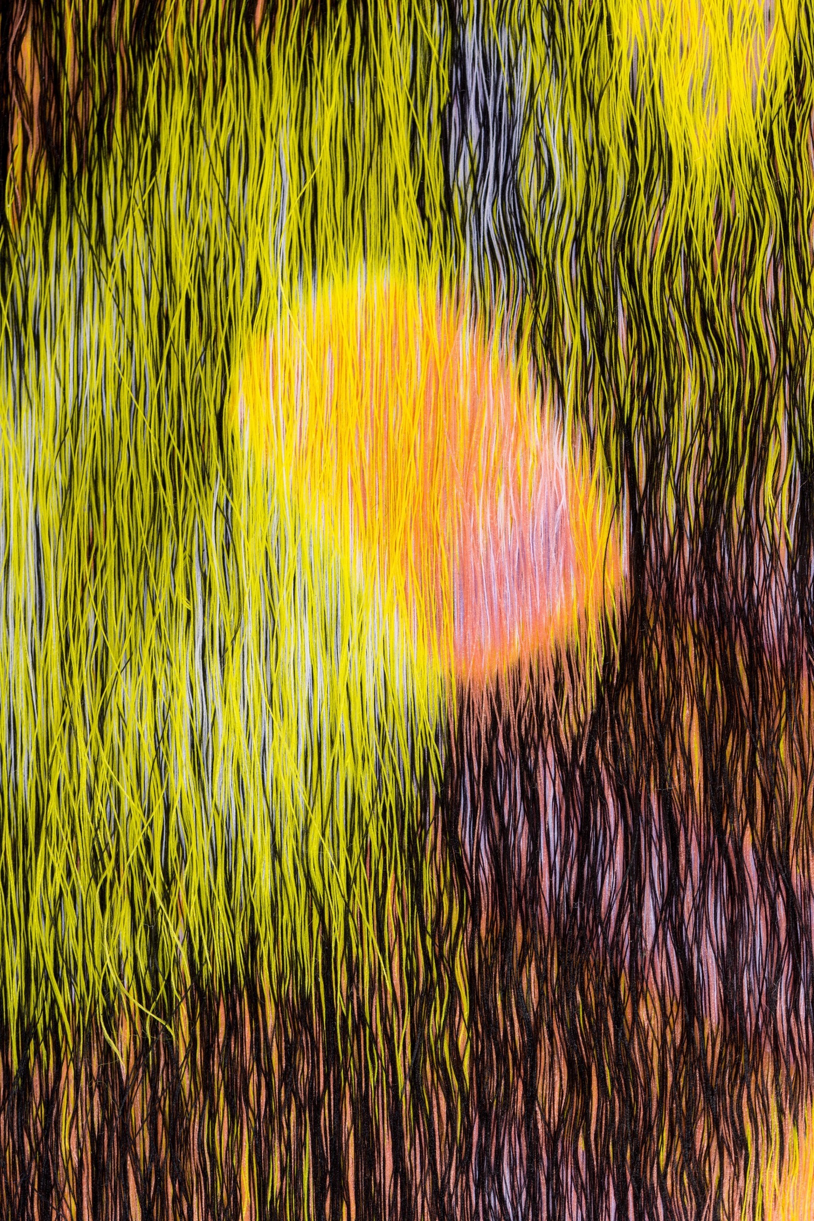 c-bonneterre_7533_@tadzio.jpg