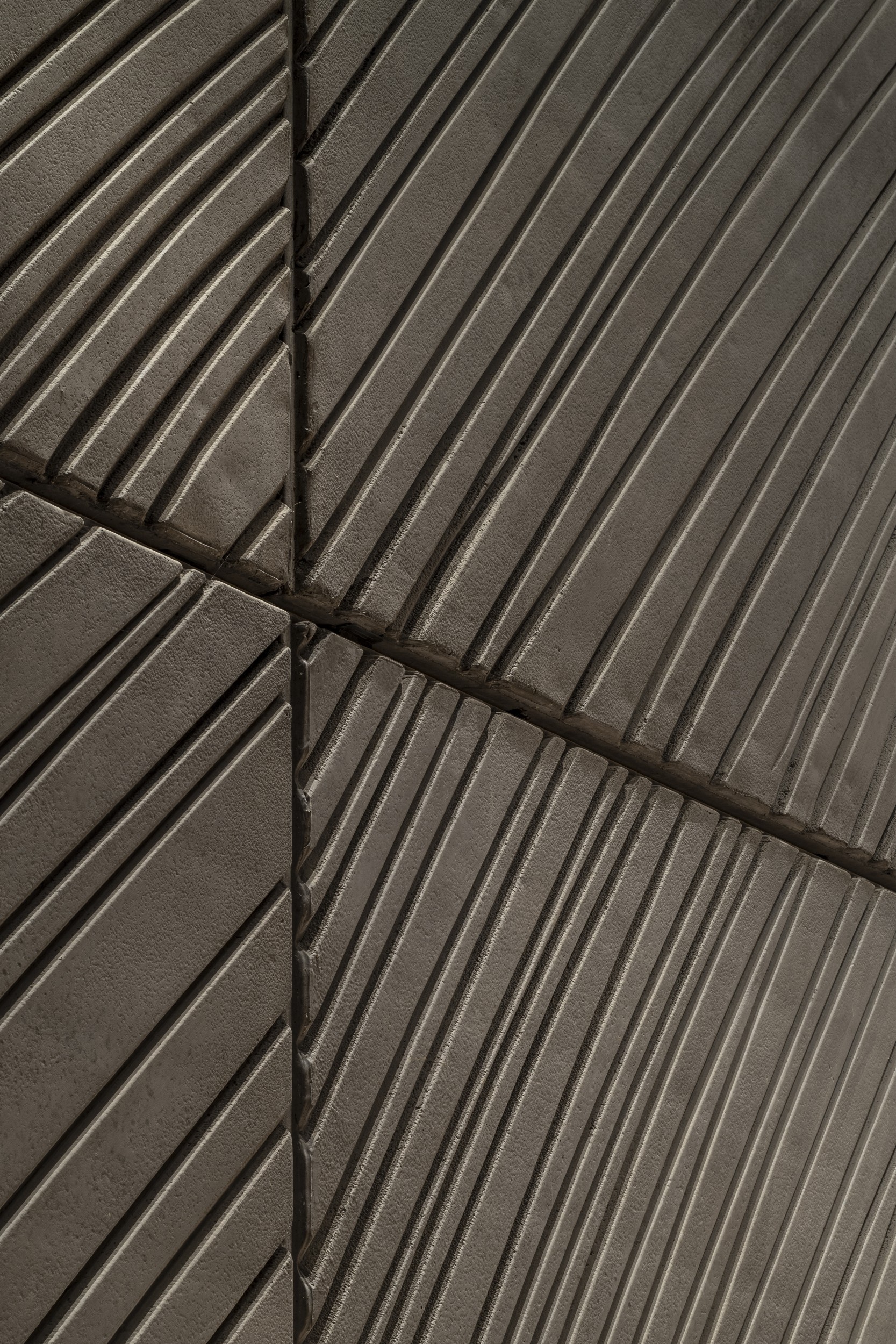 trolong-mondot055.jpg