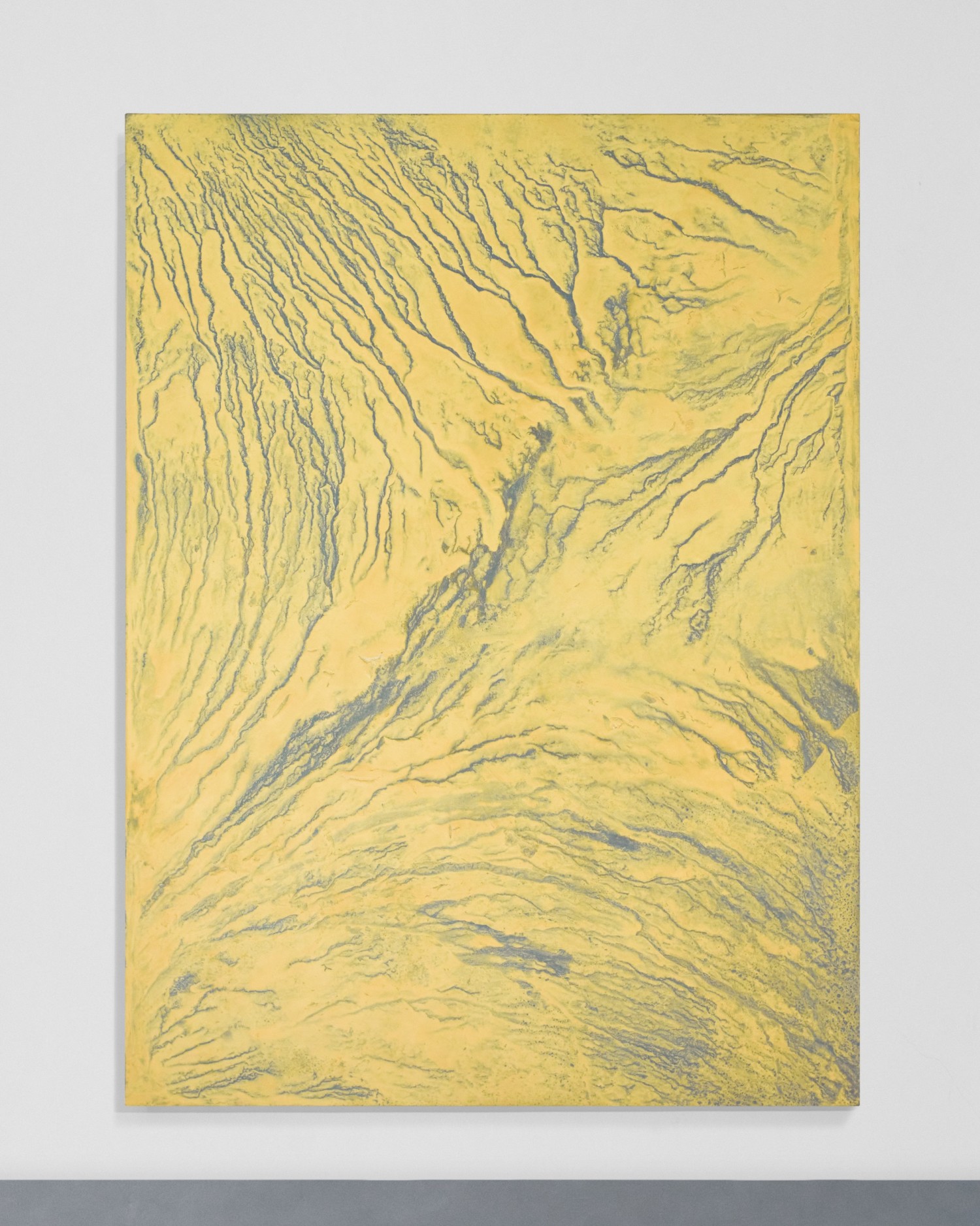 pinepollen-200x150-juin24.jpg