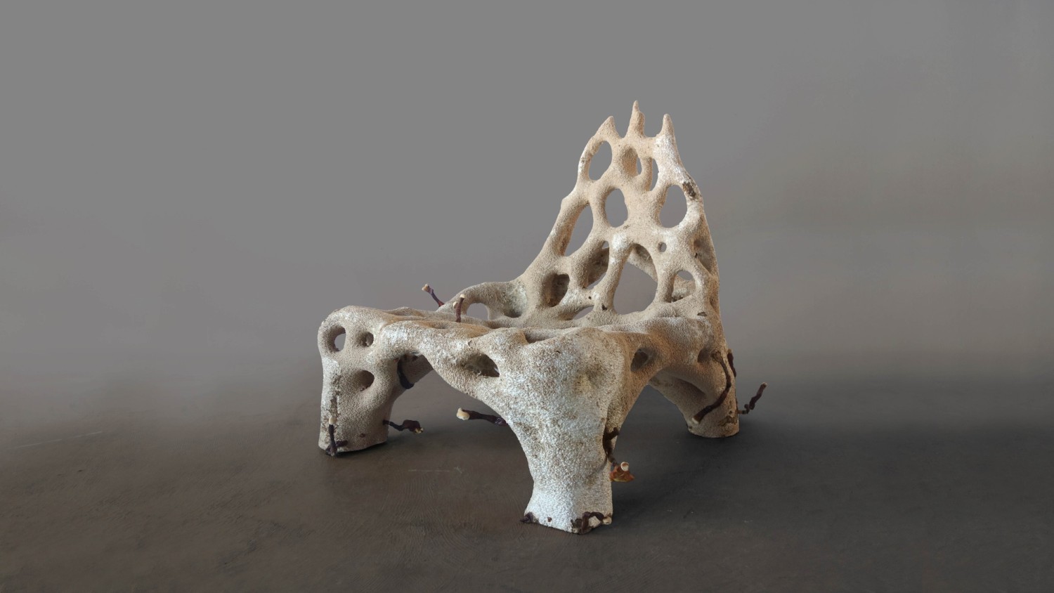 mycelium_chair_2019_lowres_photocredits_klarenbeek_dros.jpg