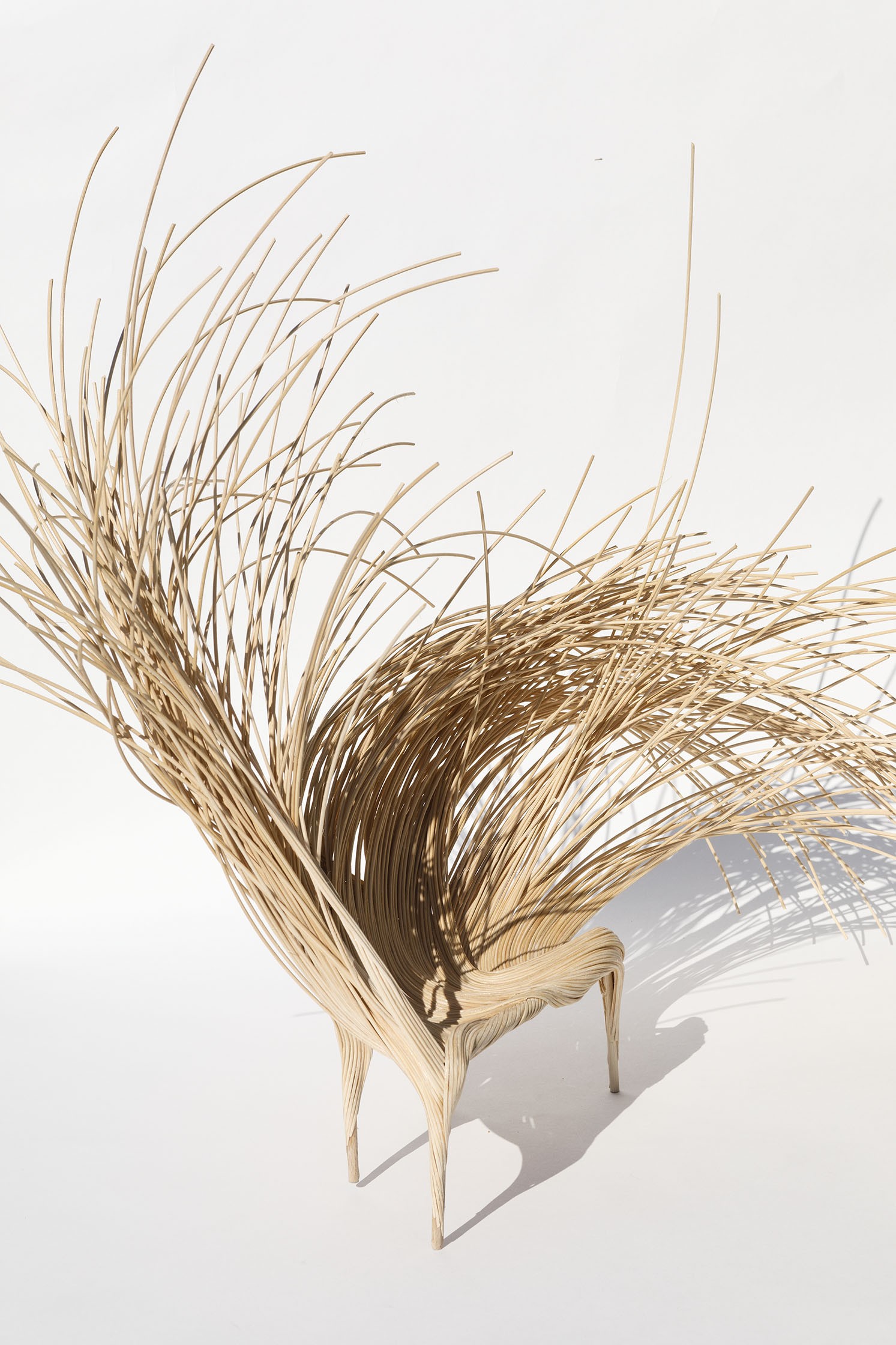 maquette-wild-fibres-bench-2credit-photo-bruno-pellarin.jpg